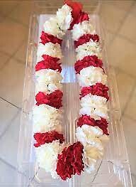 Carnation Lei * Multi Color