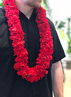 Carnation Lei * Red