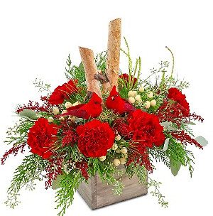 WOODLAND CARDINAL CHEER