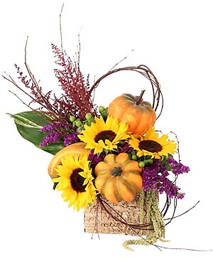 BLOOMING PUMPKIN PATCH