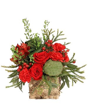 GORGEOUS GREENS &amp; REDS