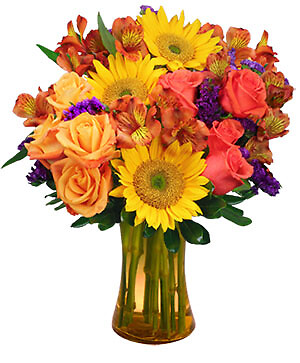 SUNFLOWER SAMPLER