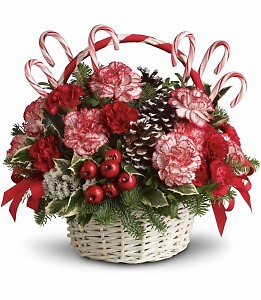CANDY CANE CHRISTMAS