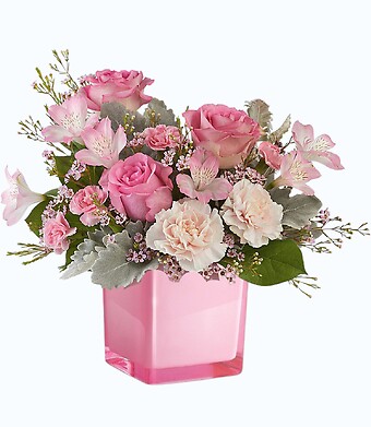 JULIETTE  -  Pink Cube