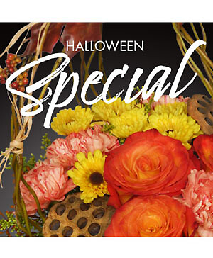 HALLOWEEN SPECIAL