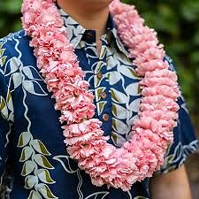 Carnation Lei * Pink