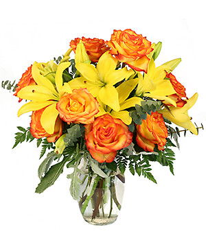 VIVID AMBER